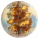 An Oak Tree