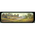 Summer Landscape