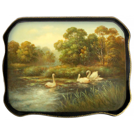 Swans