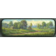 Summer Landscape