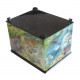 Alice in Wonderland (Five-sided casket)
