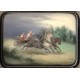 Fast Ride