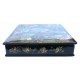 Tale of a Sleeping Beauty